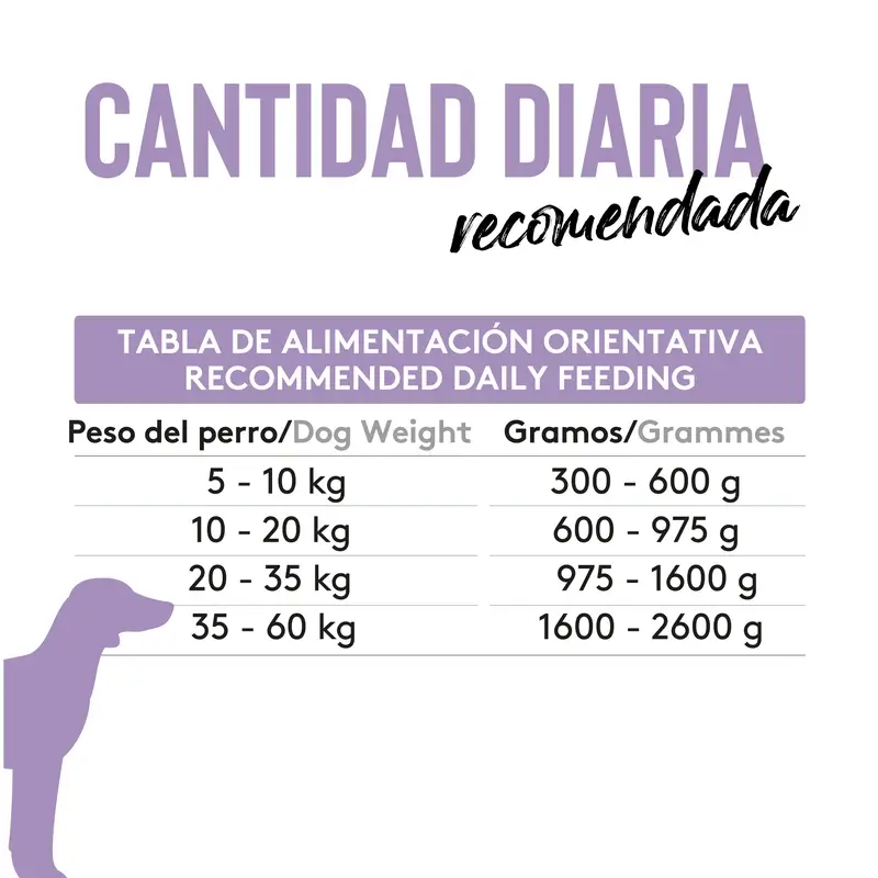 Dibaq Sense Comida Húmeda Perros Jabalí Y Ciervo, 12 x 380 gr