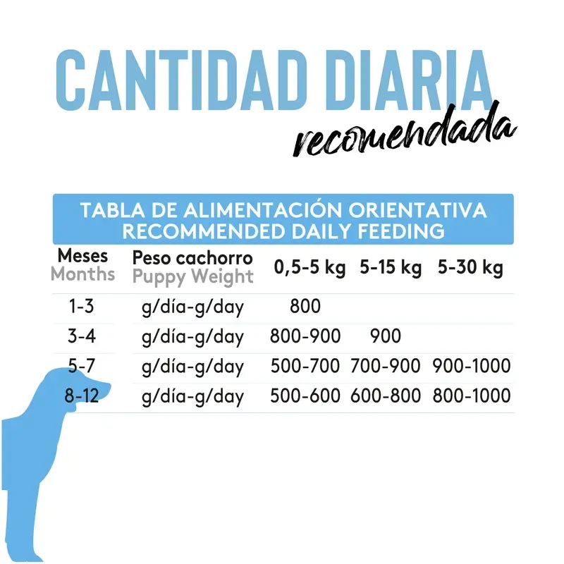 Dibaq Sense Comida Húmeda Perros Salmón Y Pavo Cachorros, 12 x 380 gr