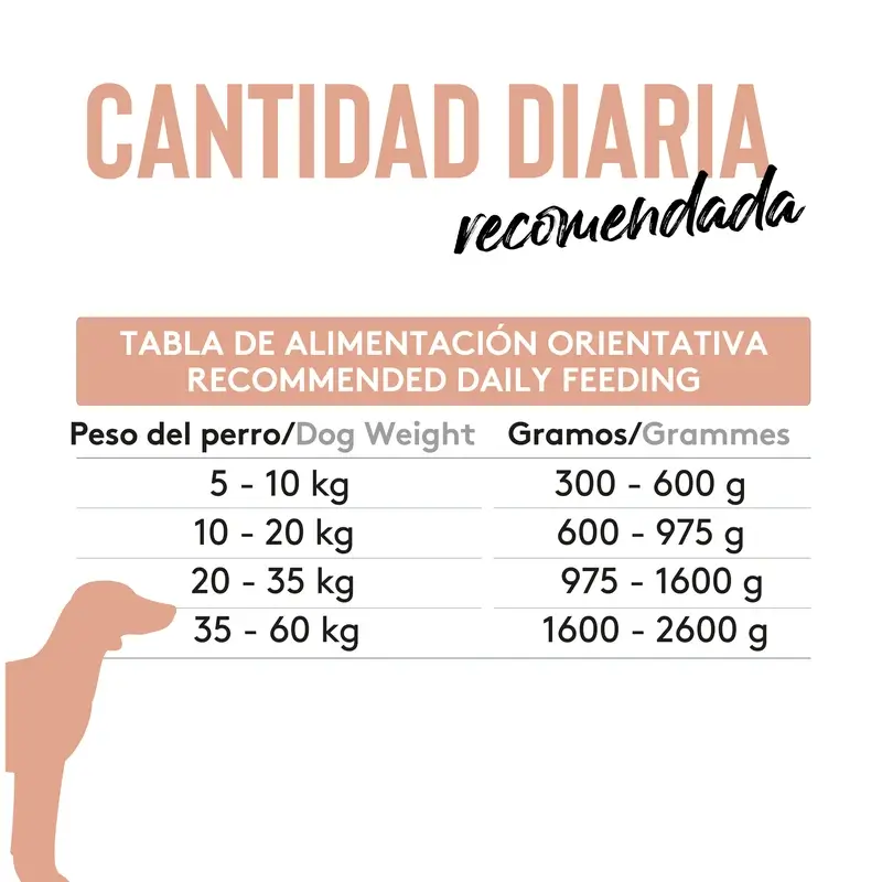 Dibaq Sense Comida Húmeda Perros Salmón, 12 x 380 gr