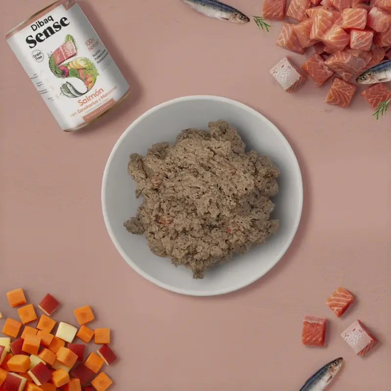 Dibaq Sense Comida Húmeda Perros Salmón, 12 x 380 gr
