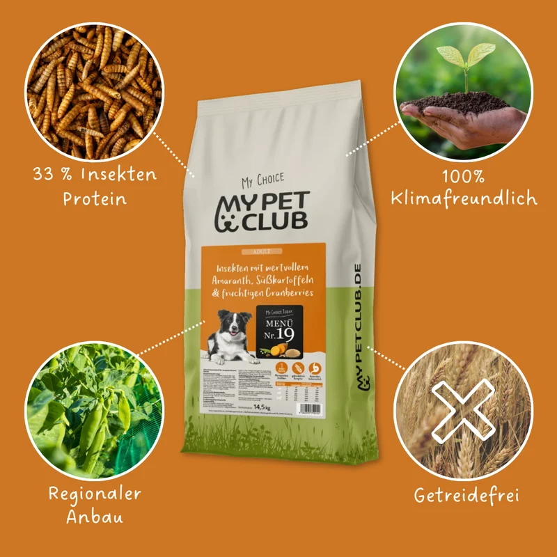 Insectos de MyPetClub