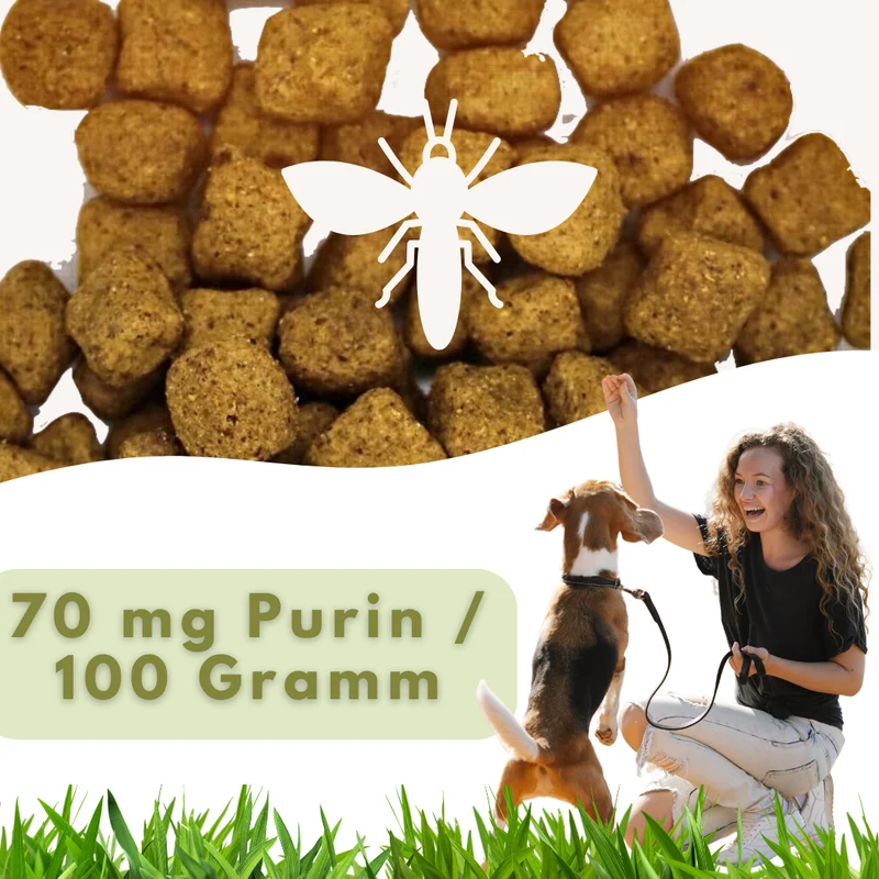MyPetClub Insectos Purinarm