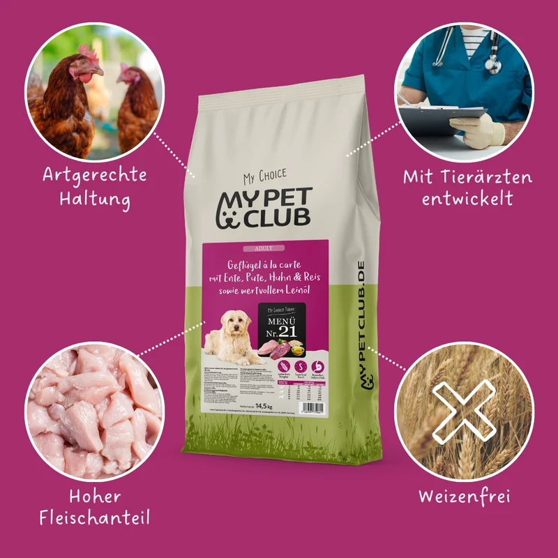 Saldo de MyPetClub