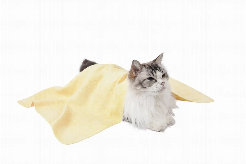 BATHTIME Toalla Amarillo
