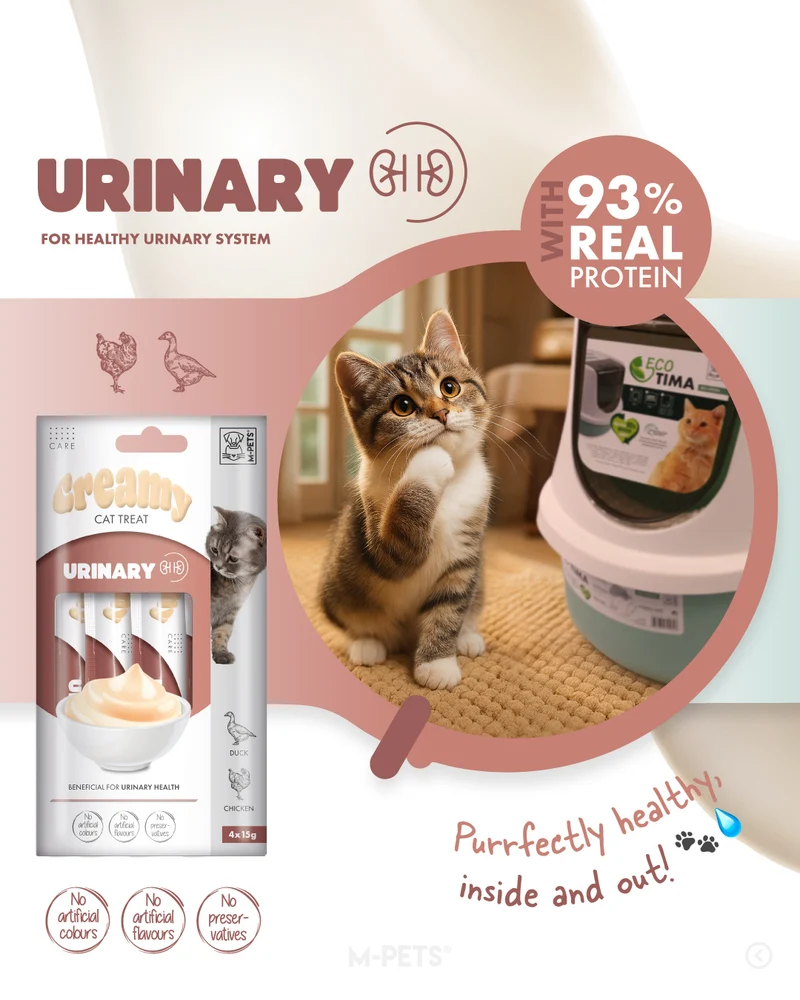CREAMY with FUNCTIONS - Cat treat Urinary - Duck & Chicken