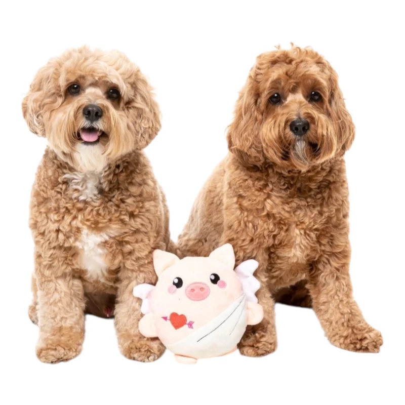 FuzzYard Love Toy Pig para Perros — Peluche Original Australiano
