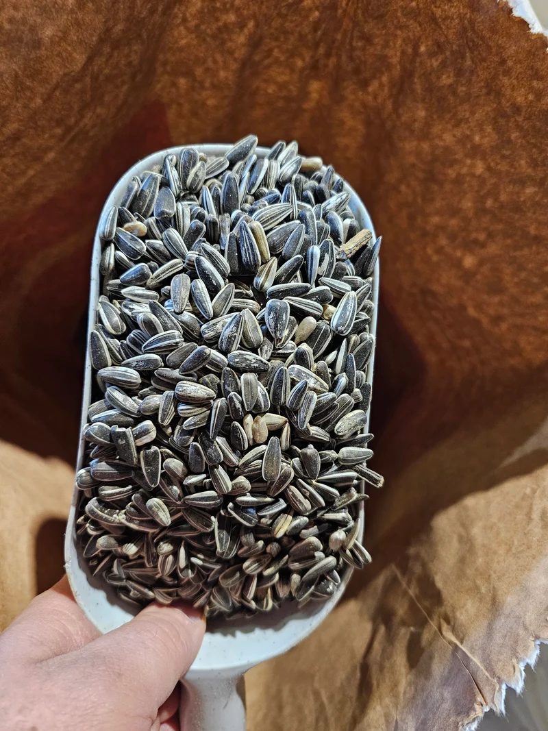 Semillas de girasol rayadas 12.50 kg Versele Laga