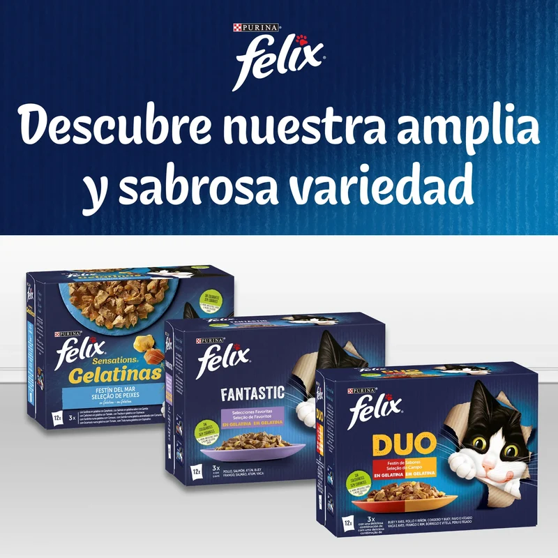 Felix Fantastic Selección Gelatina Pescados Pack 120x85 g
