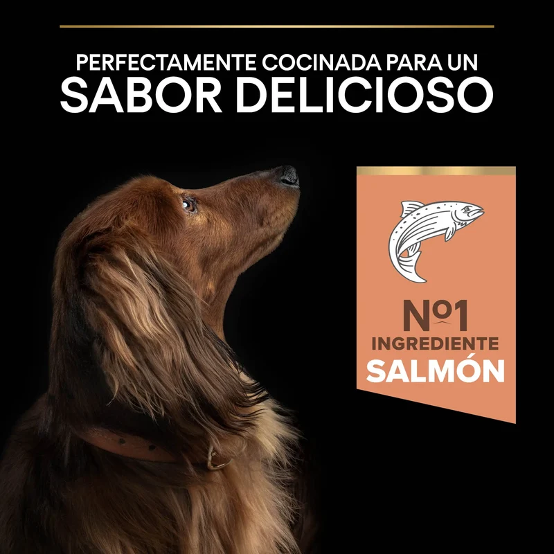 Pro Plan Small & Mini Adult Sensitive Skin Salmón Pienso para Perros