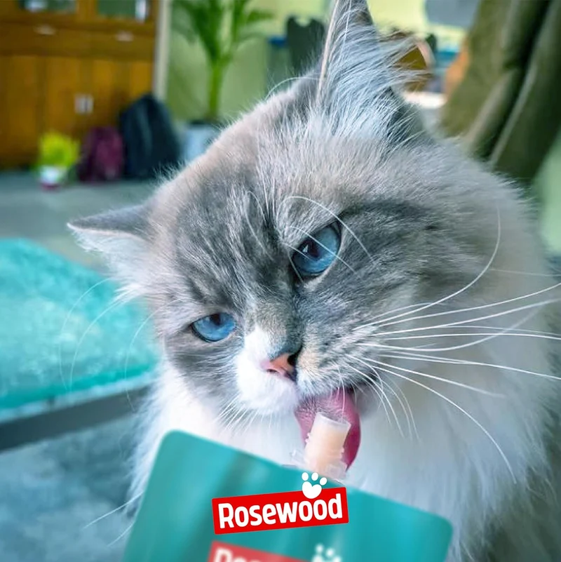 Rosewood Snack Deli Delight de Salmón para Gatos