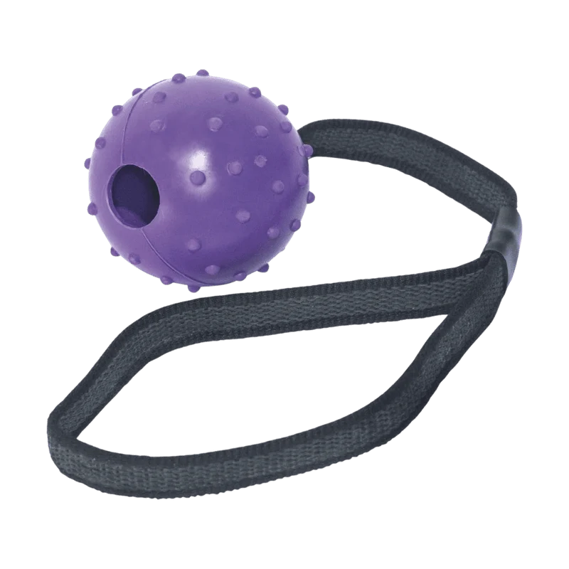 Pelota de Goma con Cinta Juguete para Perros