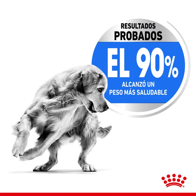 Royal Canin Maxi Light Weight Care Pienso para Perros