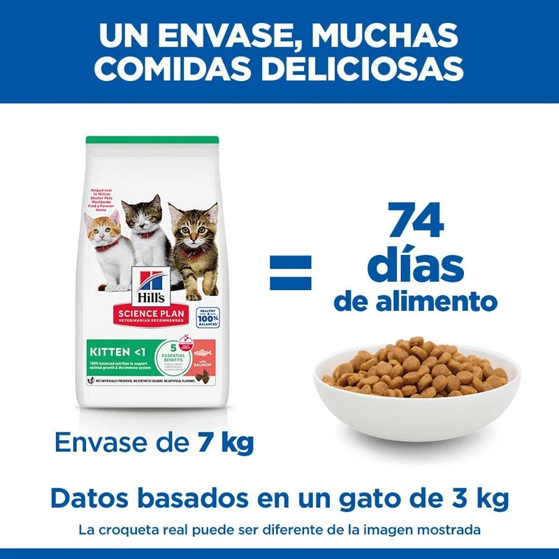 Hill's Science Plan Kitten Salmón Pienso para Gatitos