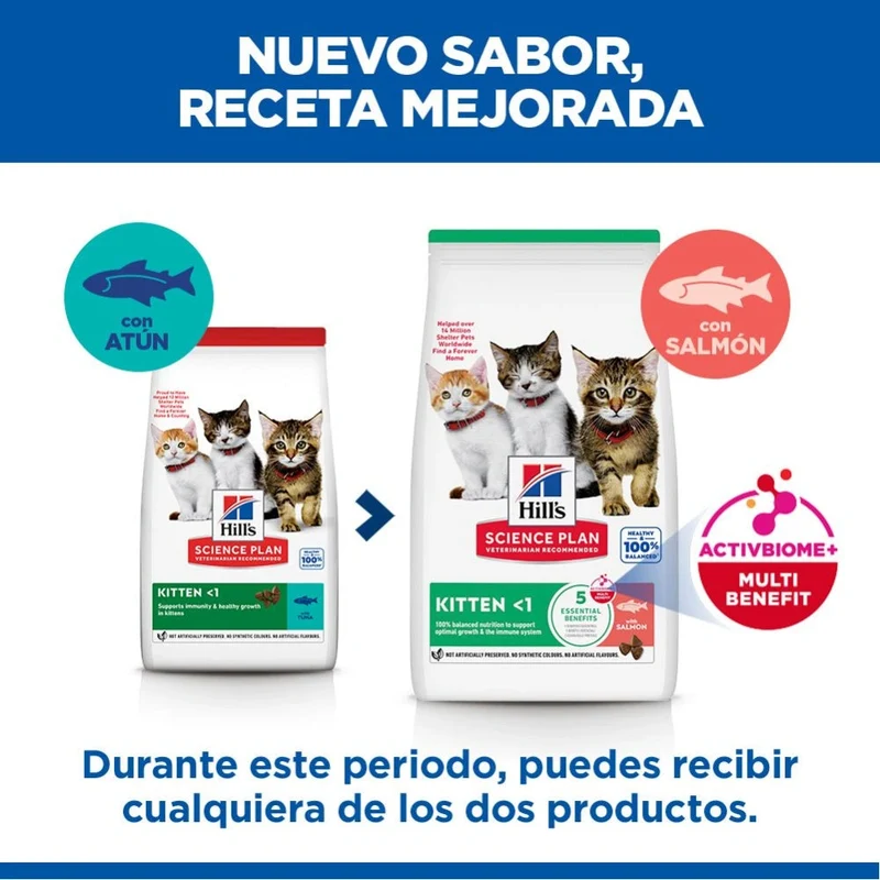 Hill's Science Plan Kitten Salmón Pienso para Gatitos