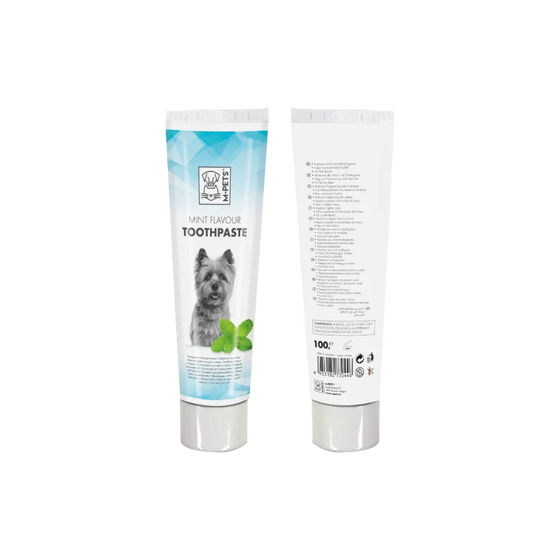 DISPLAY for Toothpaste Mint flavour 12 pcs