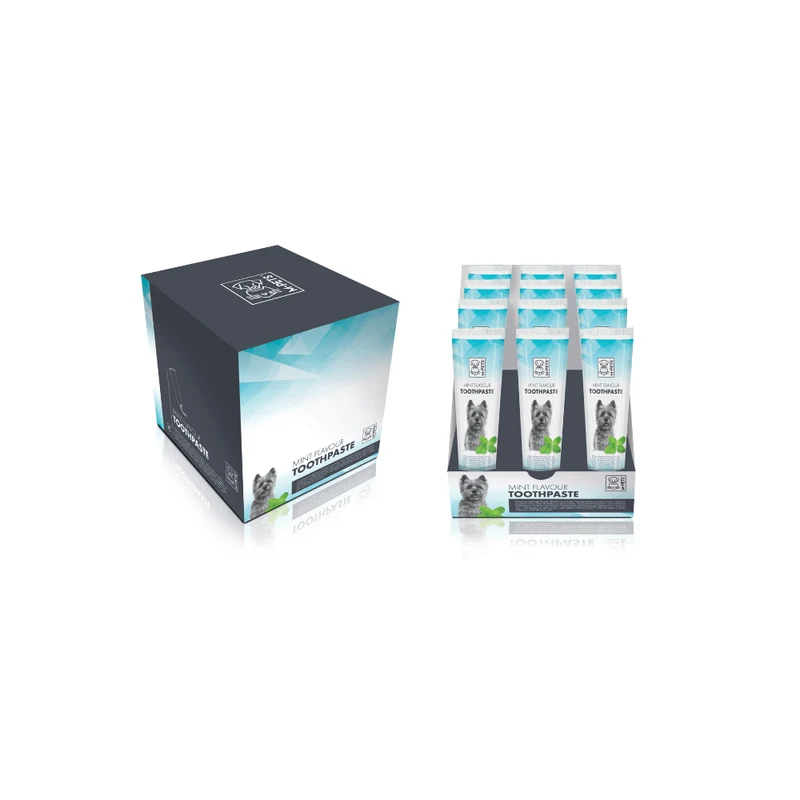 DISPLAY for Toothpaste Mint flavour 12 pcs