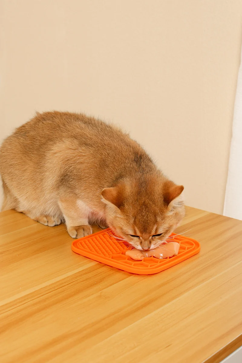 Creamy Treats for Cats - Tuna & Scallop