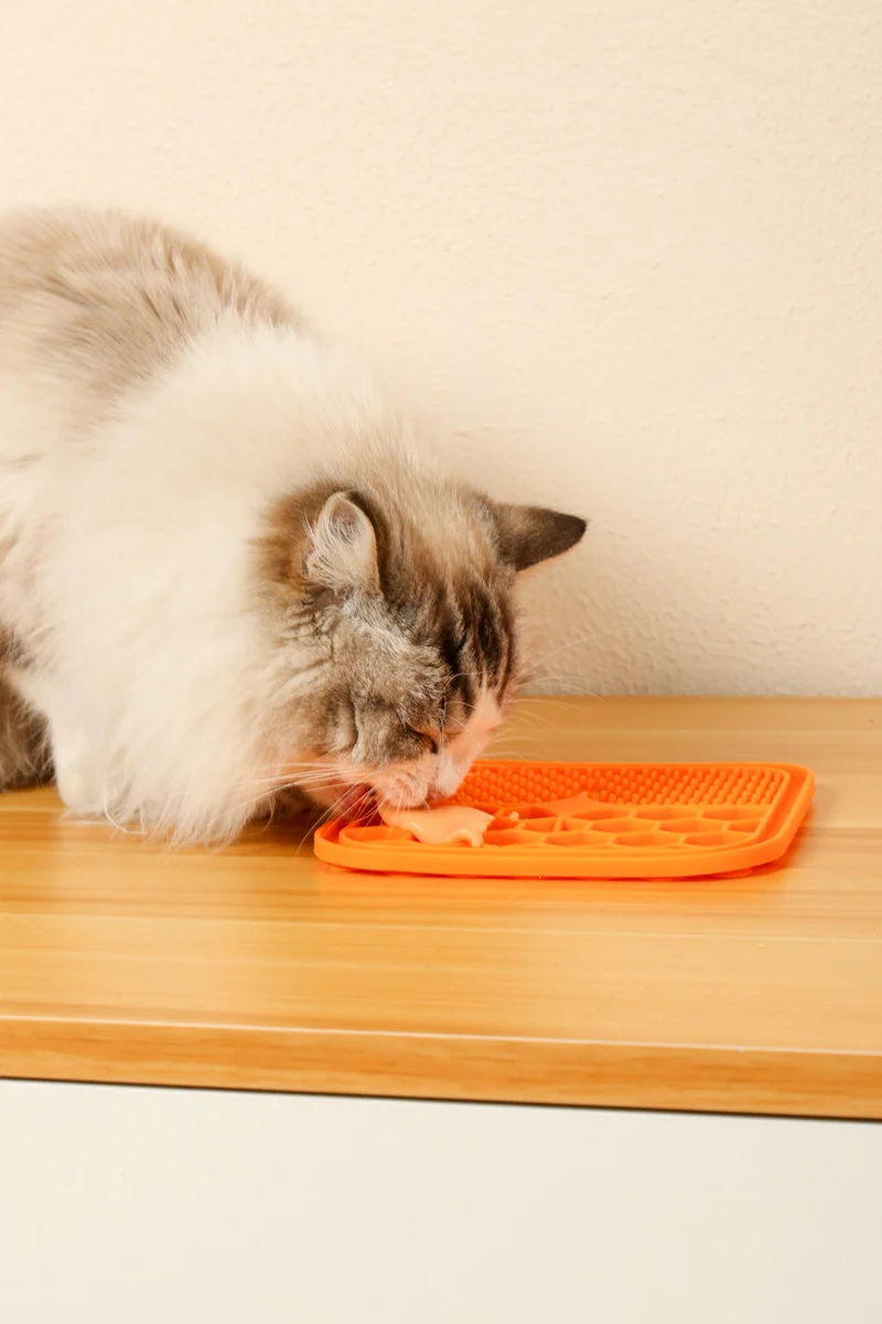 Creamy Treats for Cats - Tuna