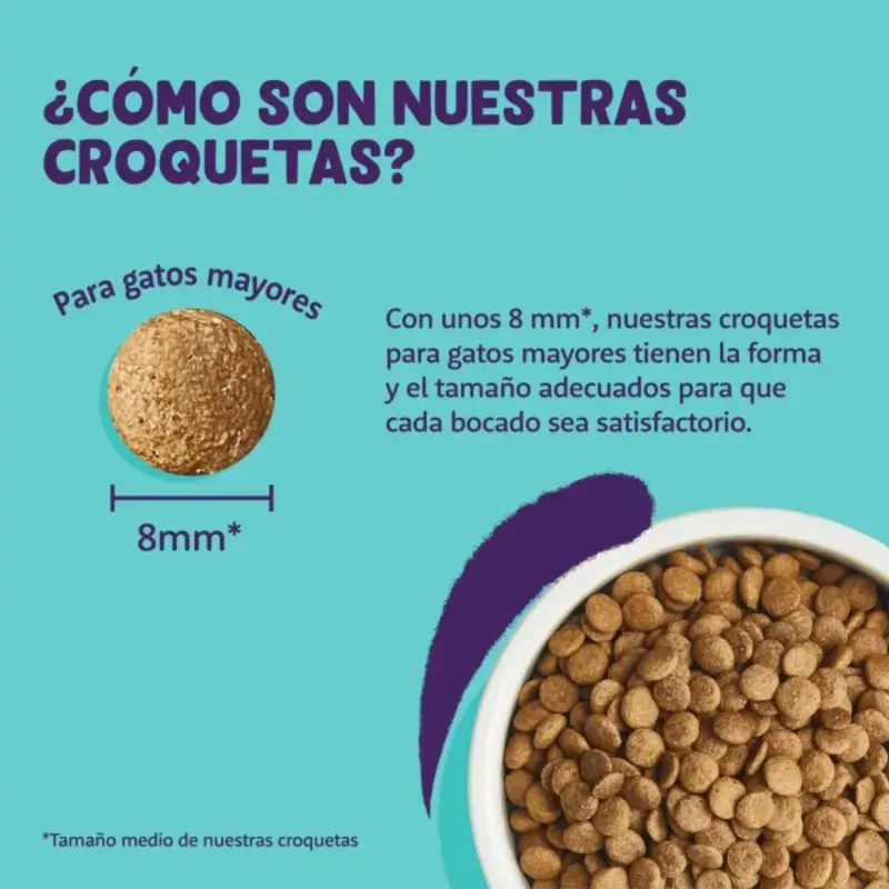 Edgard & Cooper Pienso Para Gatos Adultos Con Pavo Y Pollo Fresco, 2 kg