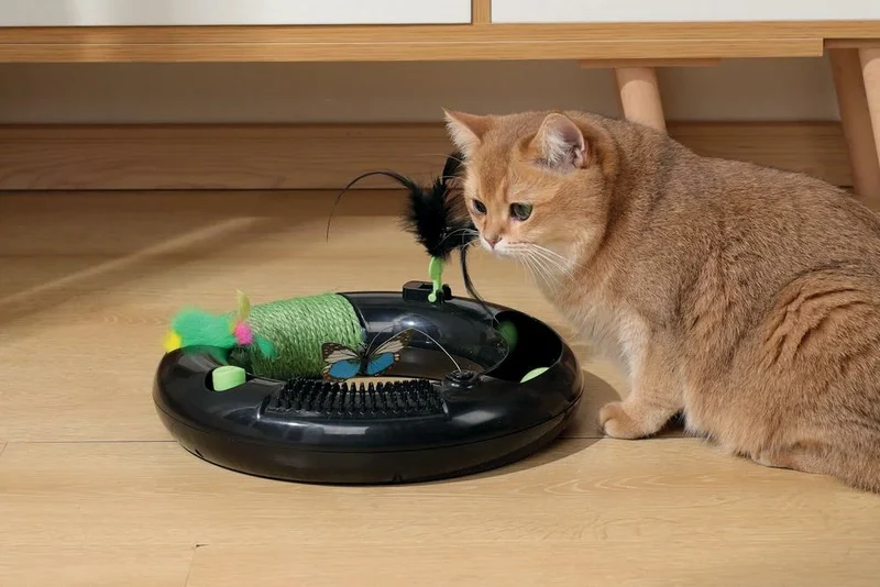 Juguete Interactivo para Gatos Halo