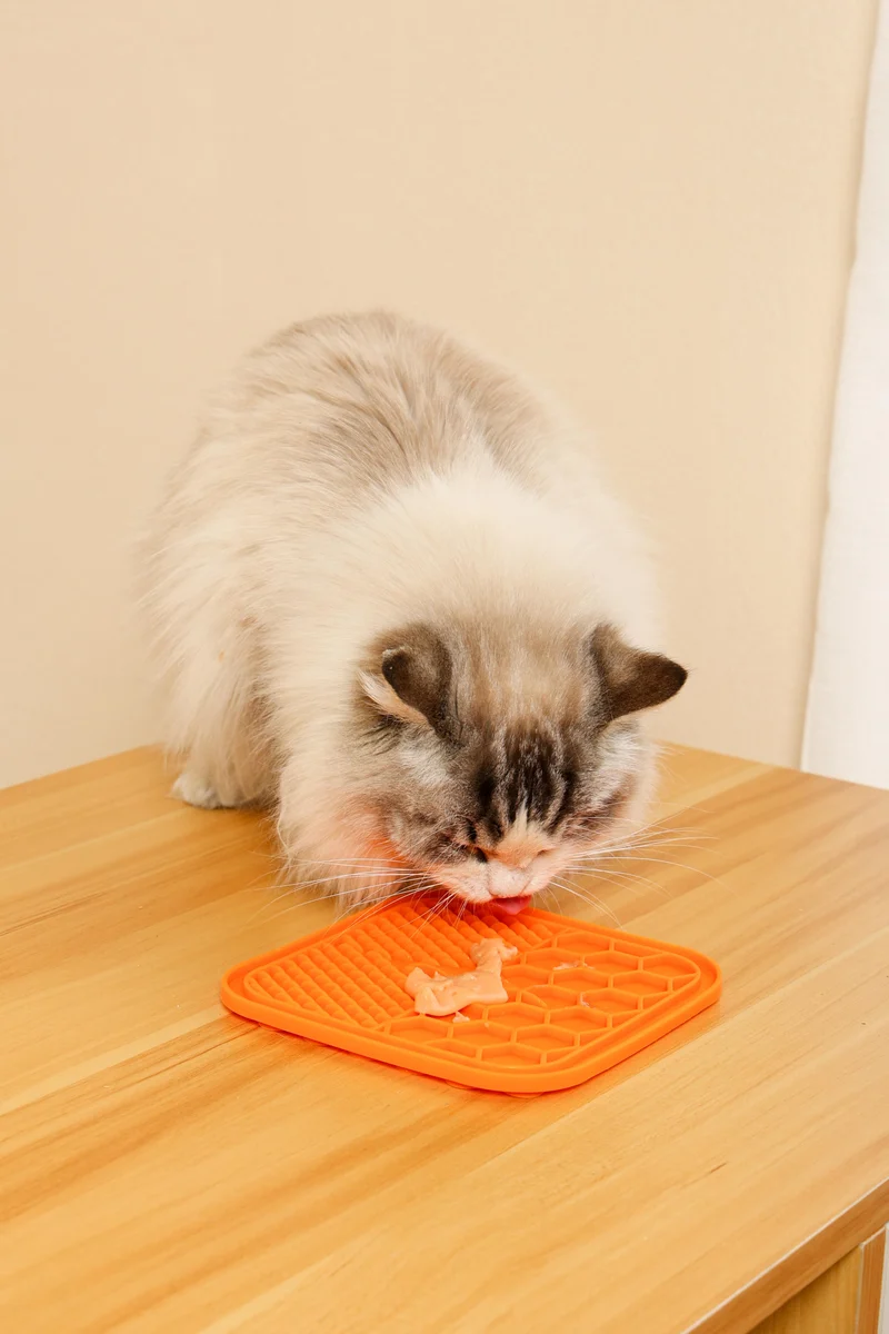 Creamy Treats for Cats - Crab