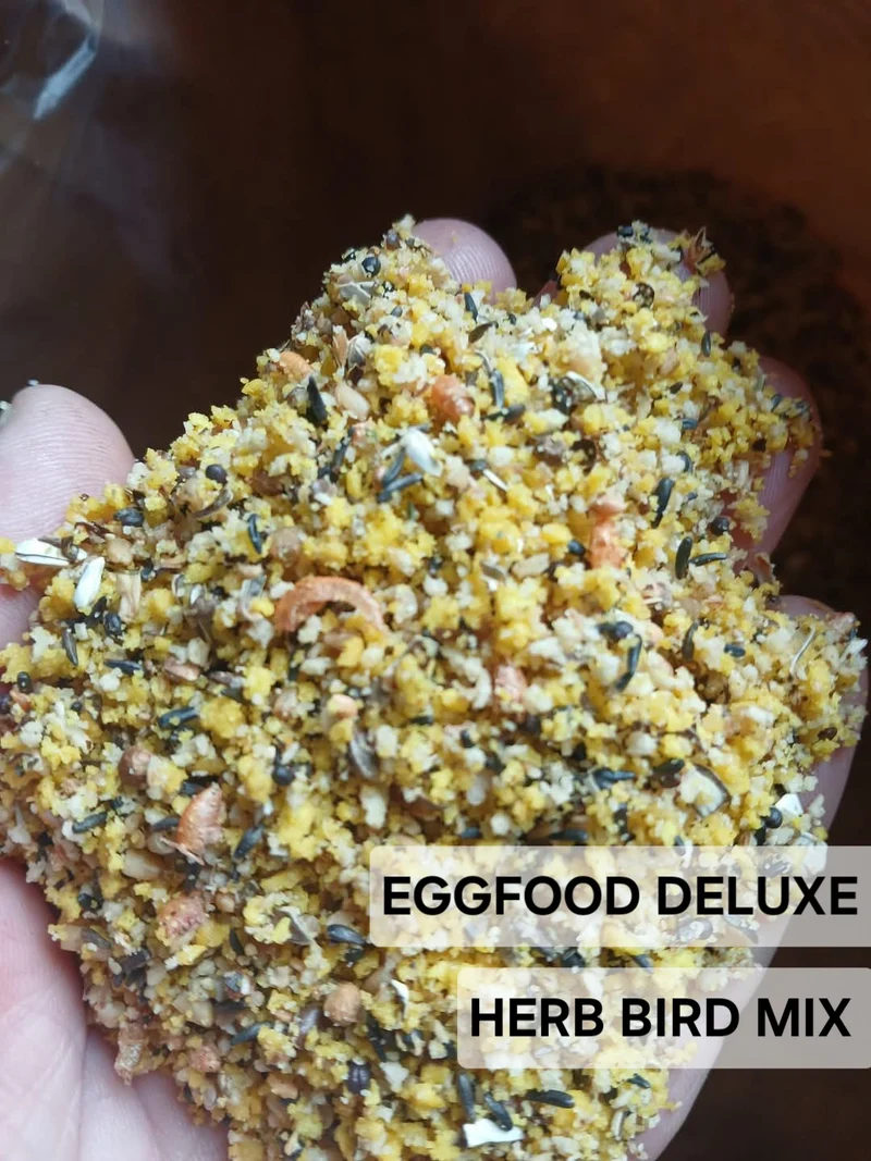 Combo - Mezcla de colores mágicos 150 gramos + Pasta de huevo Deluxe 1 kg