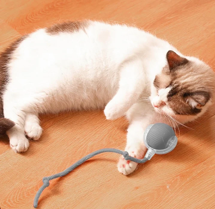 Pelota eléctrica interactiva activa para mascotas. Gris