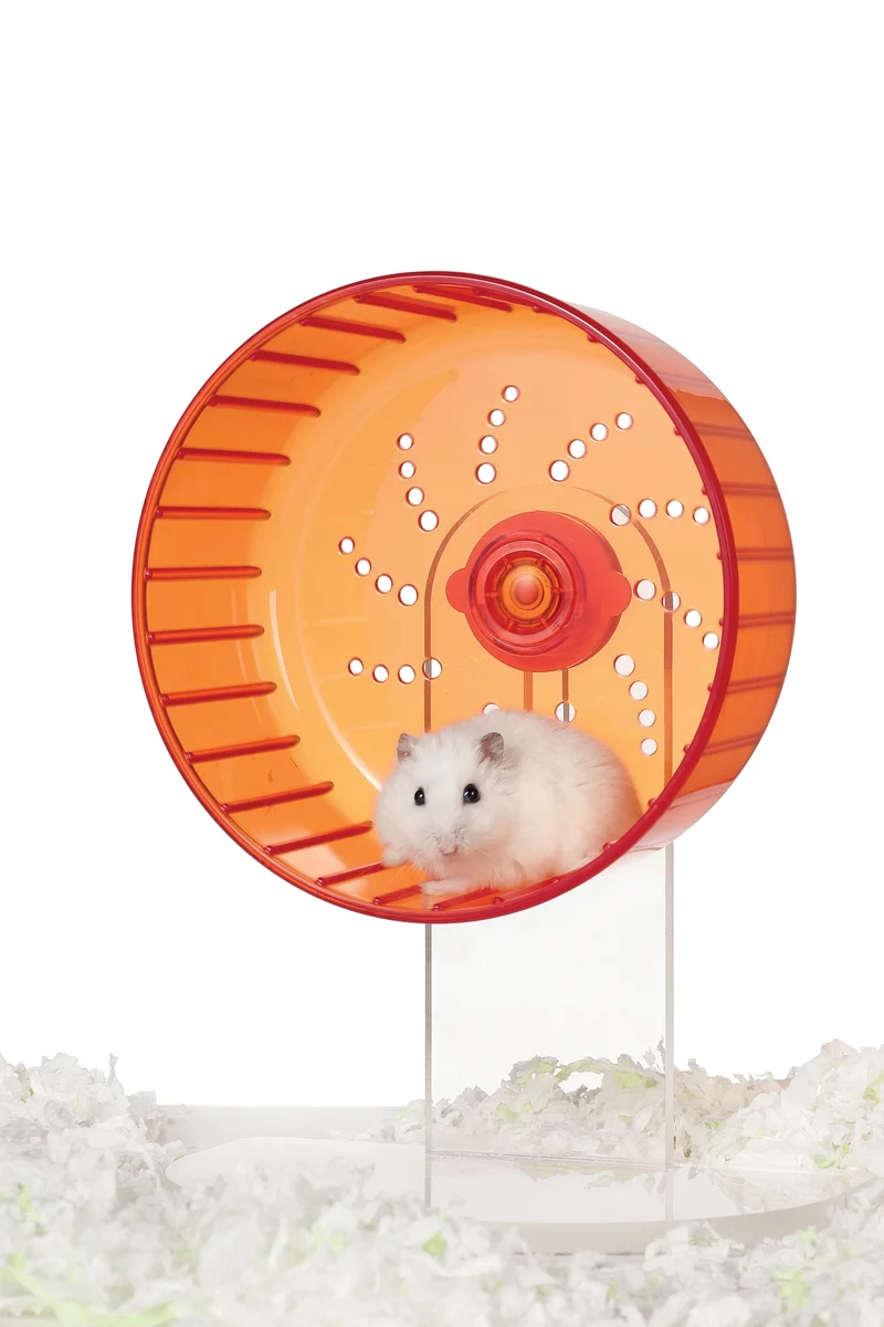 TURBO Training Wheel Red