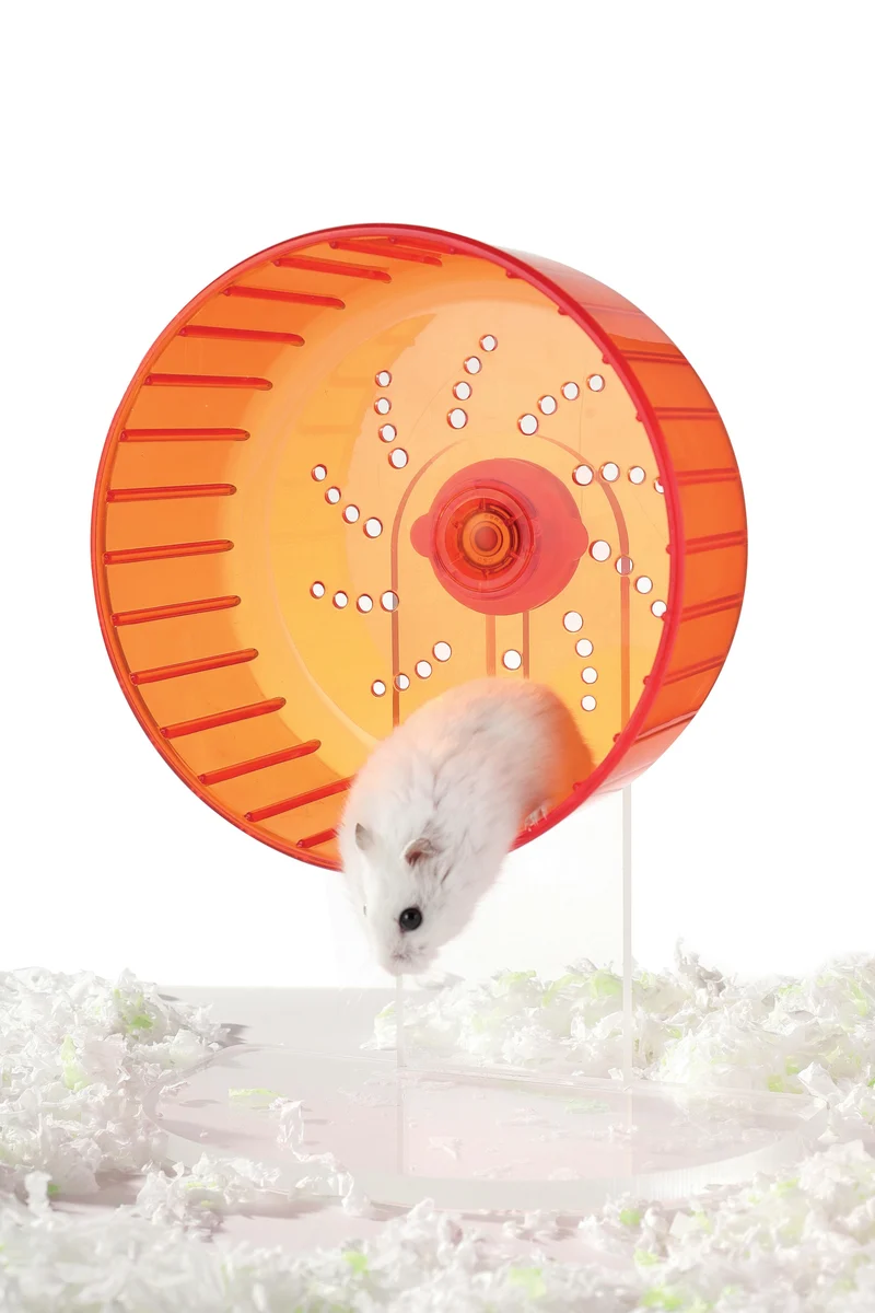 TURBO Training Wheel Red