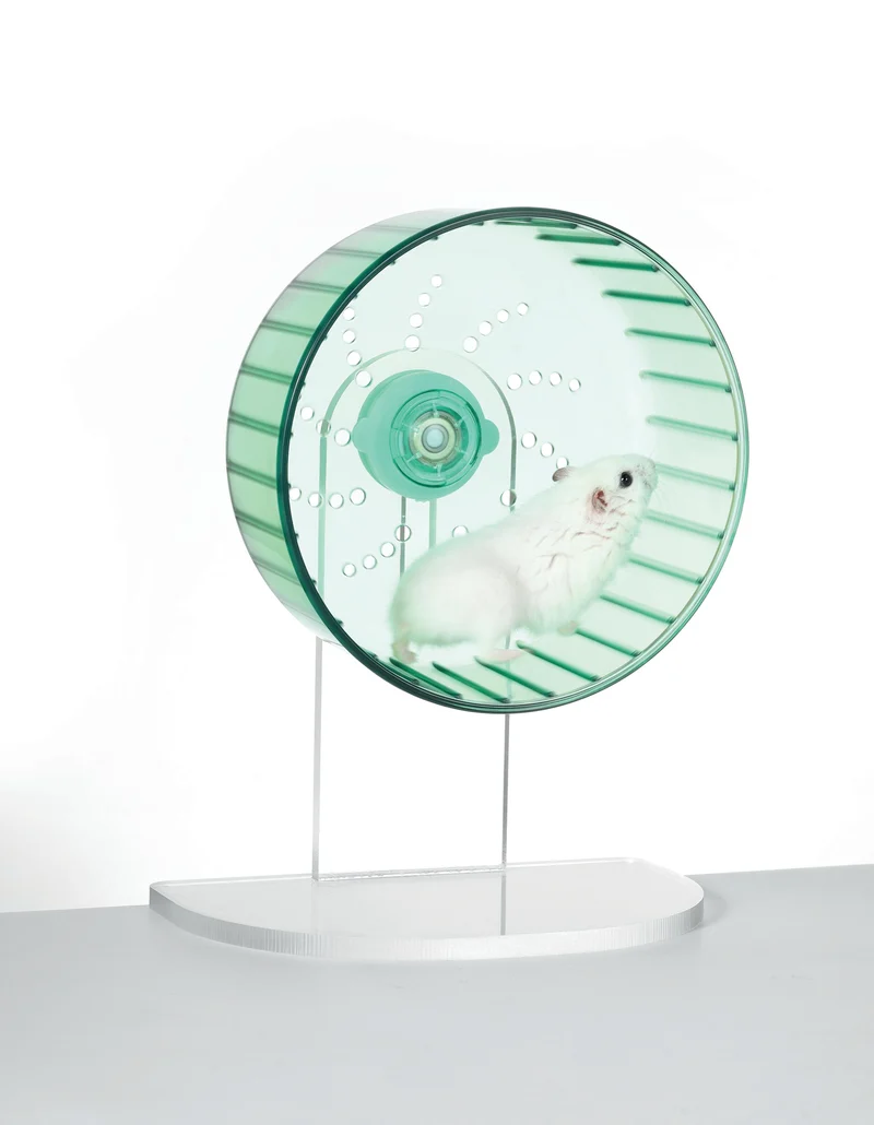 TURBO Training Wheel Green