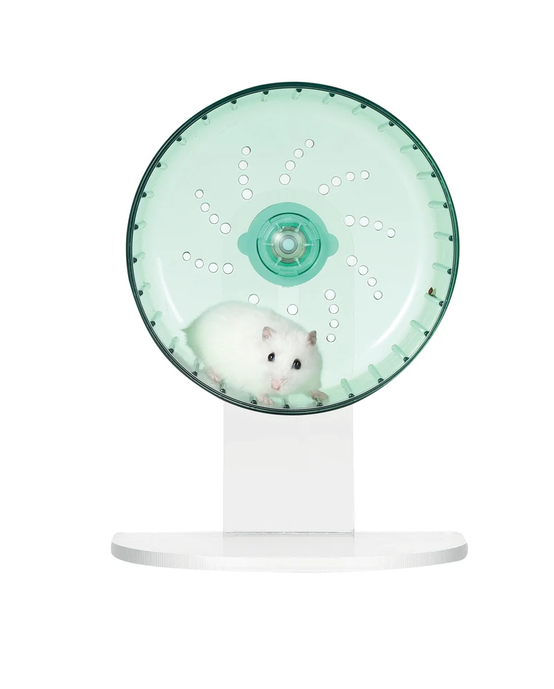 TURBO Training Wheel Green