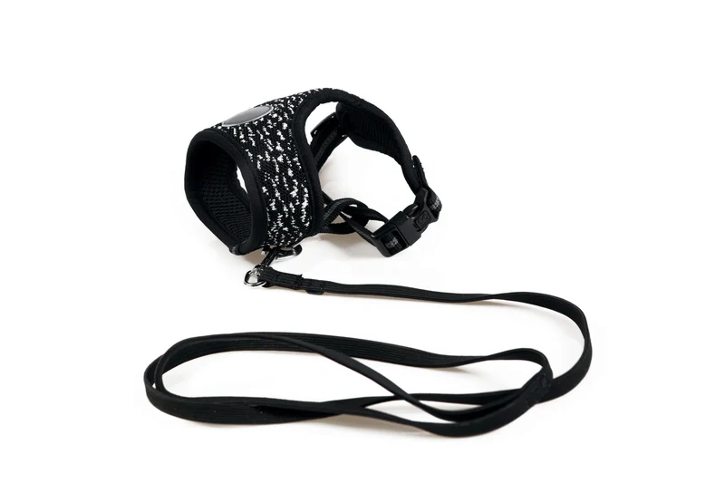 LETSGO Cat Harness & Leash Set - Black