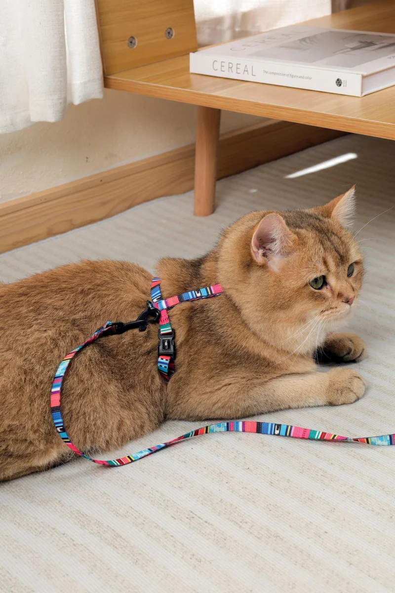 URBANSTYLE Jazz Stripes Cat ECO SET (harness & leash)
