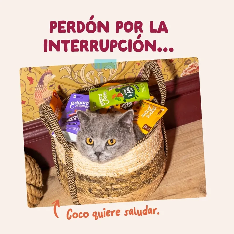 Edgard & Cooper Pollo En Salsa Adulto, 12x85 gr