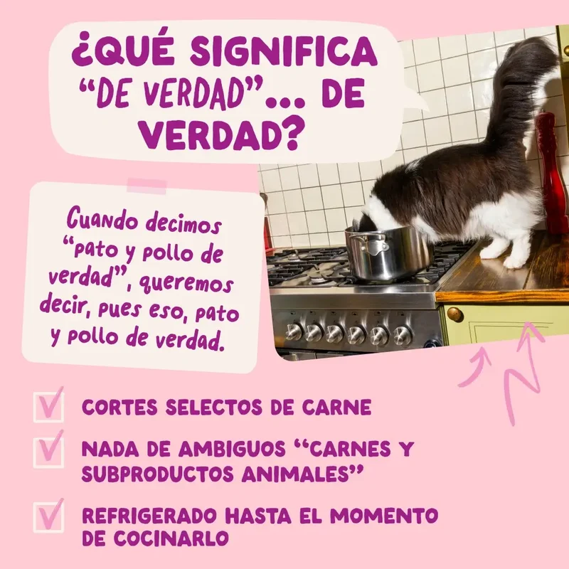 Edgard & Cooper Pato & Pollo En Salsa Para Gatitos, 12x85 gr