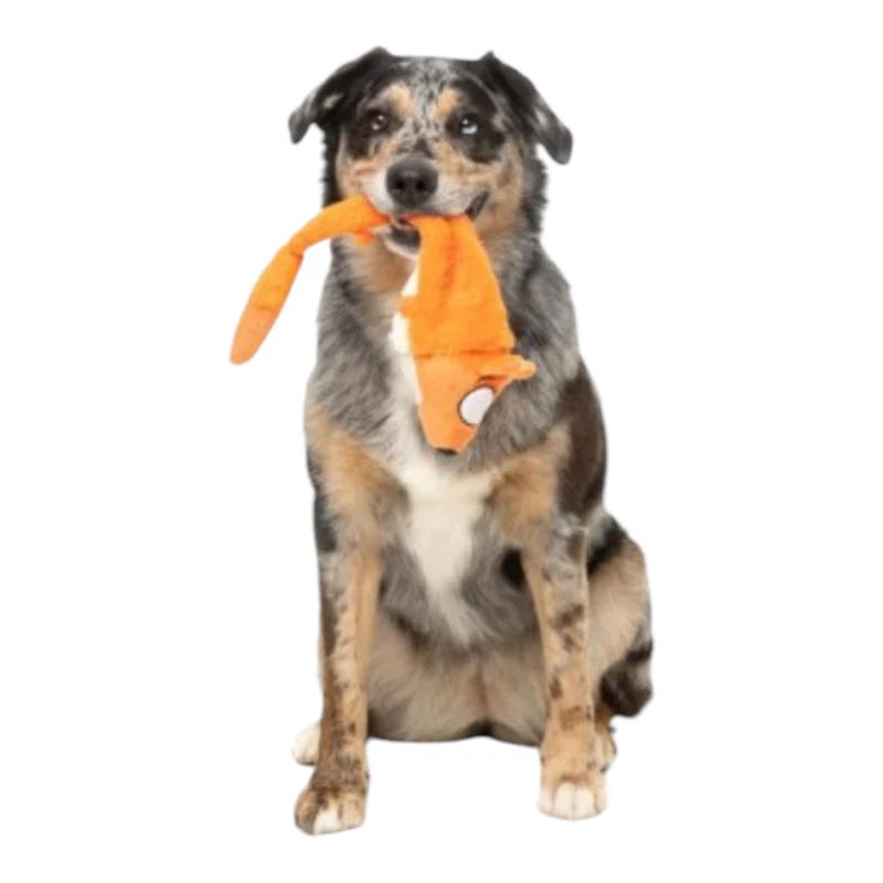 FuzzYard Rack Peluche para Perros — Rata o Zorro Original Australiano