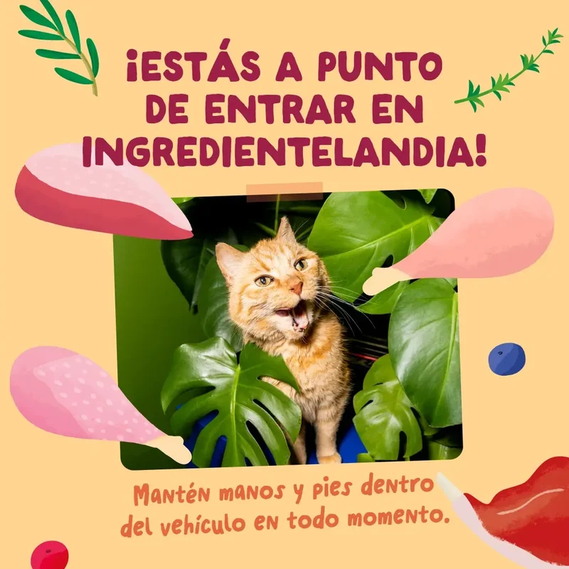 Edgard & Cooper Festines De La Granja En Salsa Adulto Mutipack, 12x85 gr