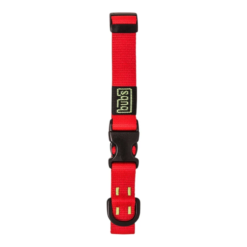 Bubs Collar 25mm para Perros Pequeños y Medianos — Ligero y Resistente