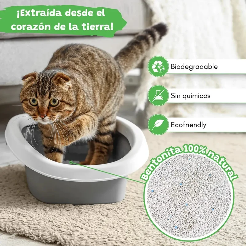 Arena Aglomerante para Gatos Aloe Vera 10L Catter Litter