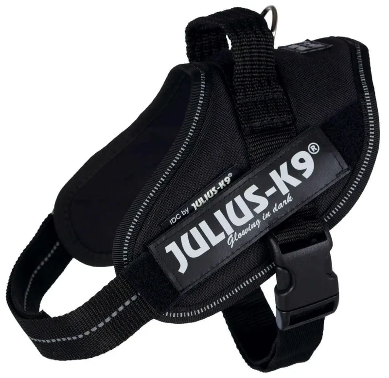 Arnes Idc Julius-K9