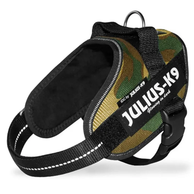 Arnes Idc Julius-K9