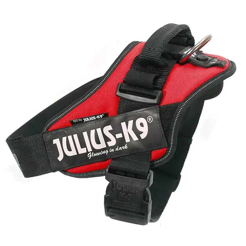 Arnes Idc Julius-K9