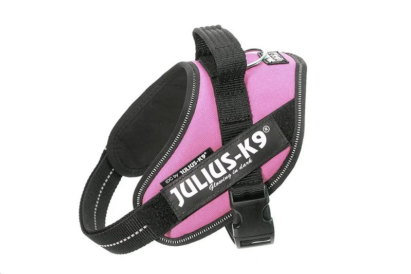Arnes Idc Julius-K9