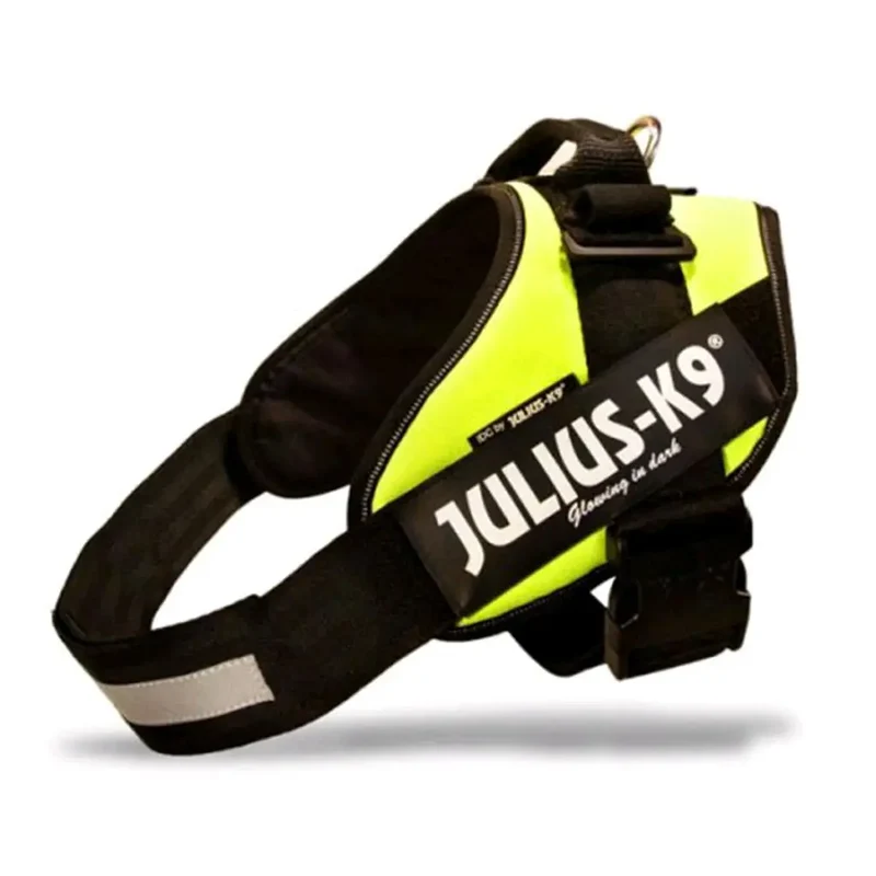 Arnes Idc Julius-K9
