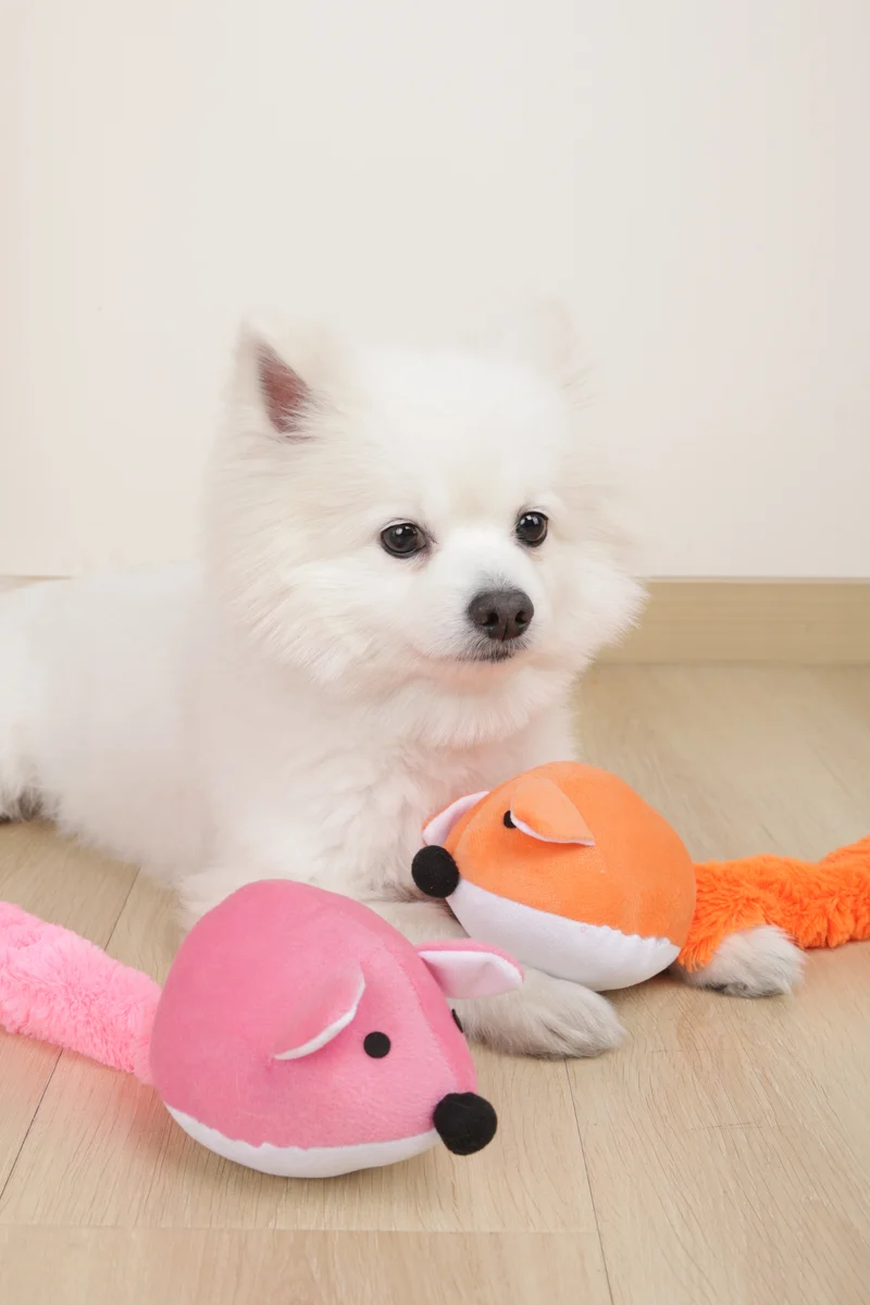 GRINGO Foxes Squeaker