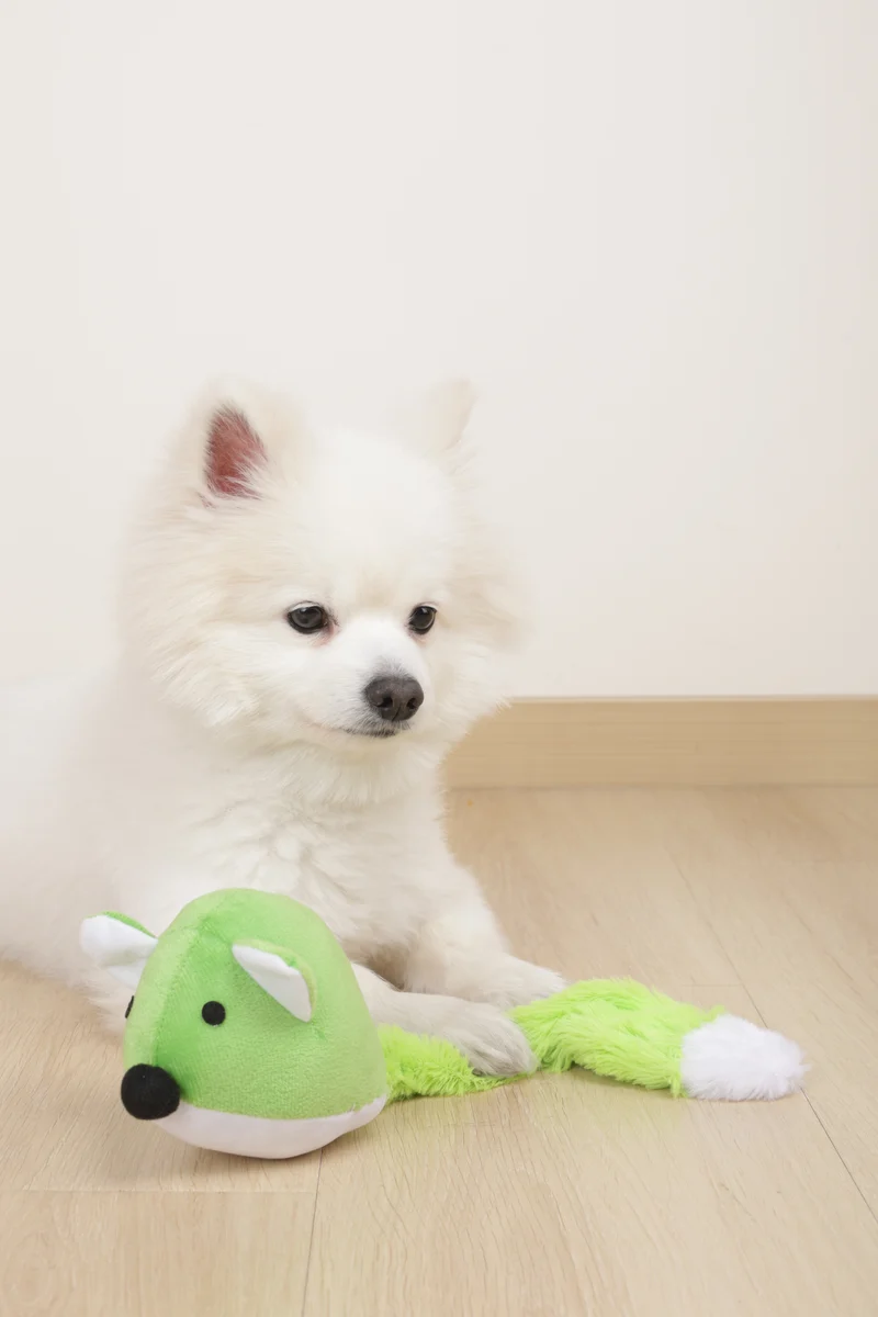 GRINGO Foxes Squeaker