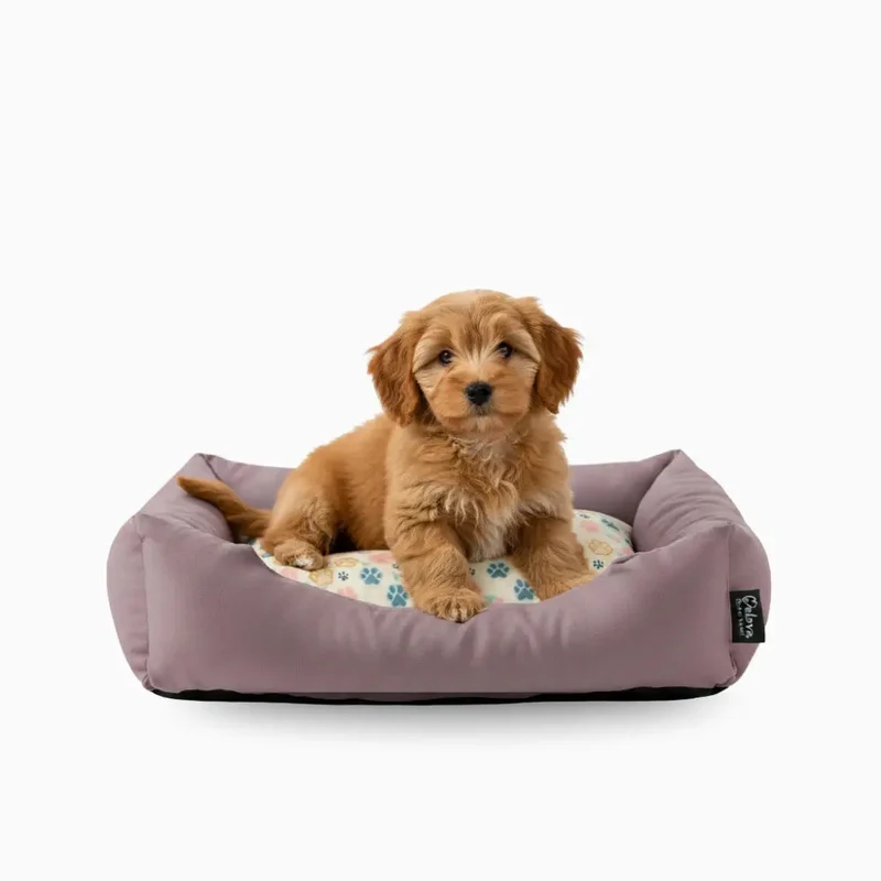 Cuna para Perros Nora Huellas Welova
