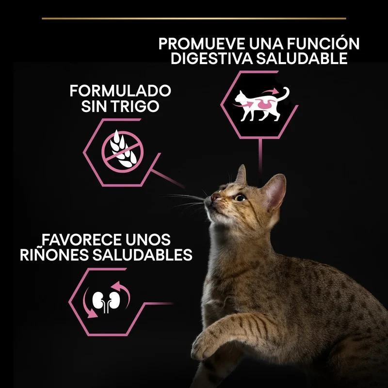 Pro Plan Cat Adult Delicate Digest Pavo 1,5 kg