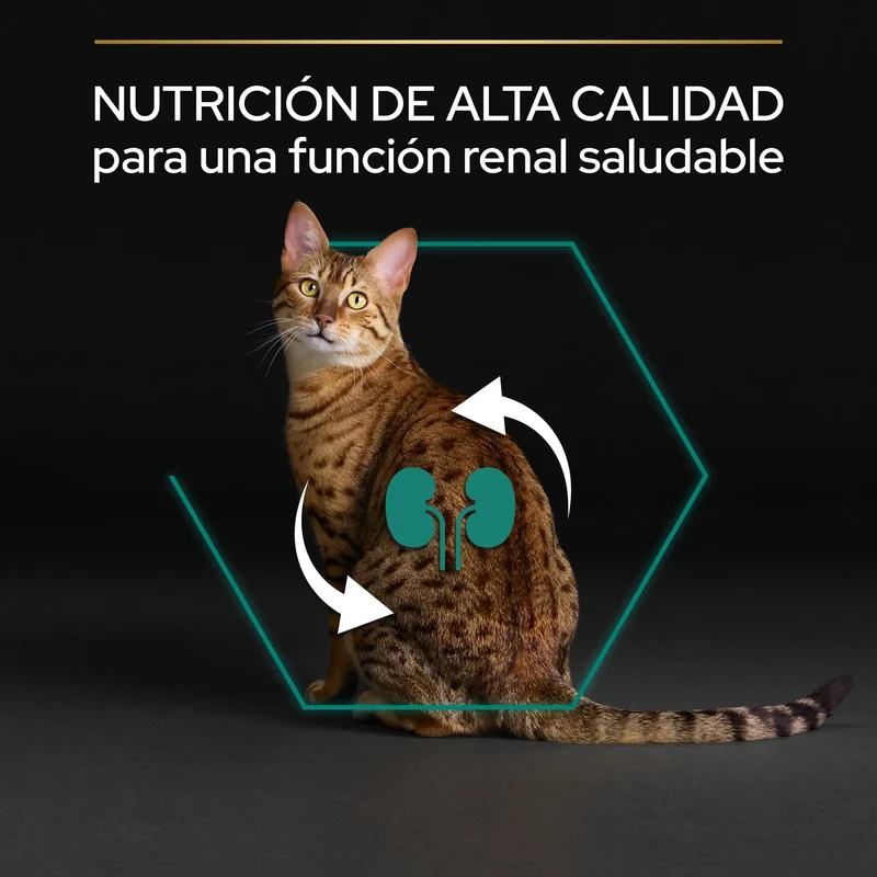 Pro Plan Cat Adult Renal+ Pollo 1,5 kg