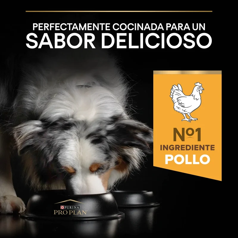 Pro Plan Dog Allsize Adult Light Sterilized Pollo Pienso para Perros